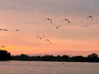 A Day in Sepang: Local Eats, Beach Sunset & Magical Fireflies
