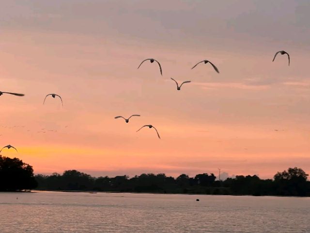 A Day in Sepang: Local Eats, Beach Sunset & Magical Fireflies