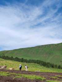 A Memorable Return Journey from Fairy Lake Horseback Riding Trip