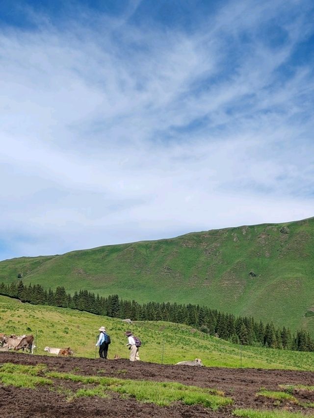 A Memorable Return Journey from Fairy Lake Horseback Riding Trip