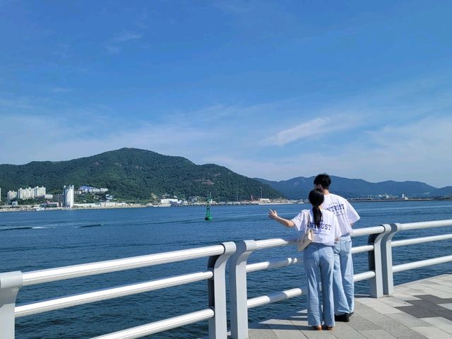 여수 오동도 산책