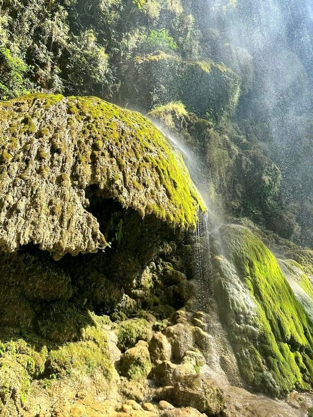 Tumalog Falls – A Gentle Wonder in Oslob, Cebu