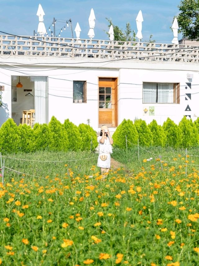 수원 행궁동에 이른 가을이 찾아왔어요🧡