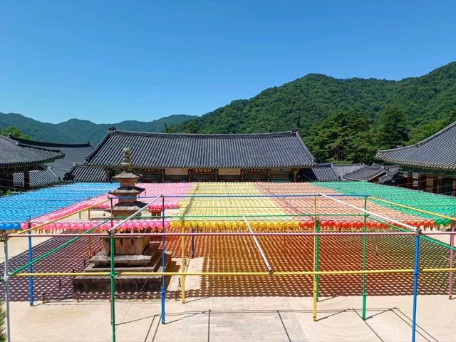 자연과 고찰이 어우러진 풍경 명소, 합천 해인사