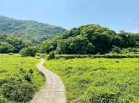 Plover Cove Country Park, Forest Feels and Total Escape Mode