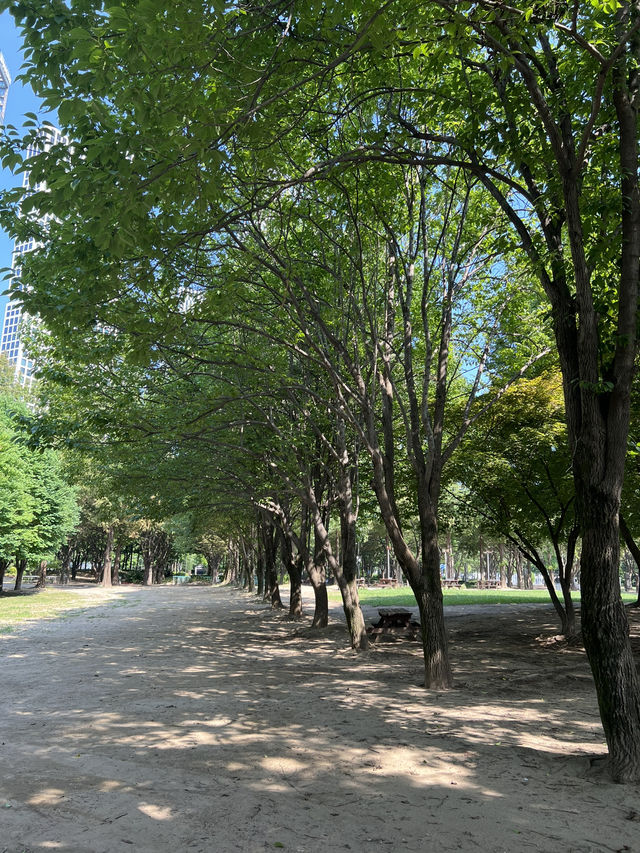 서울숲의 숲길들