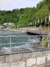 🌊Unleashed at Rhine Falls