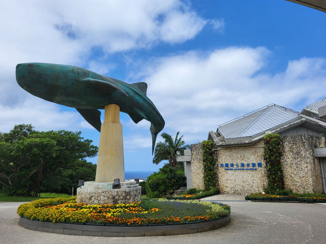 黑潮水槽震撼人心的海洋體驗/沖繩美麗海水族館