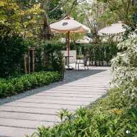 ☕🌾 Bottomless Cafe – พื้นที่เงียบ ๆ สำหรับวันช้า 