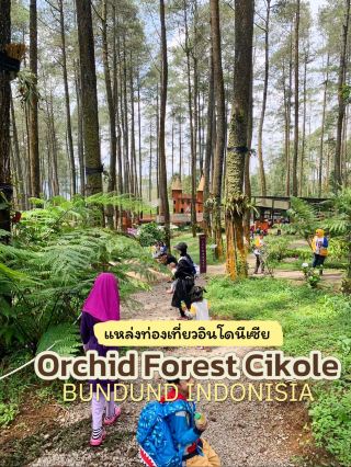 Orchid Forest Cikole