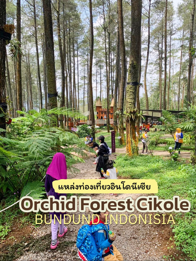 Orchid Forest Cikole