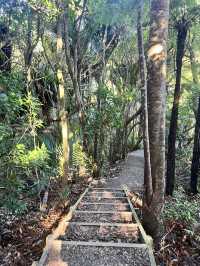 NZの休日🗻絶景スポット発見👀