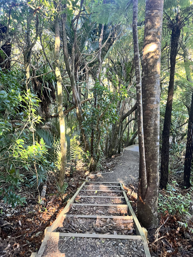 NZの休日🗻絶景スポット発見👀