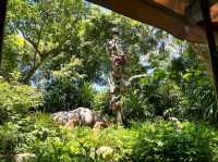 The fun Jungle River Cruise in HK Disneyland
