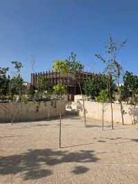 Jungle Trails and Beach Views at Parque del Jaguar