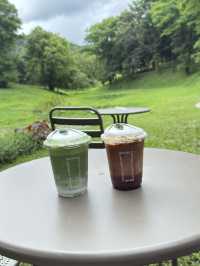 เที่ยวเชียงใหม่ฟิลธรรมชาติ Rachel coffee&community