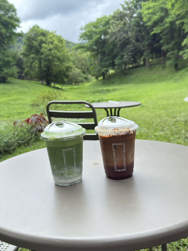 เที่ยวเชียงใหม่ฟิลธรรมชาติ Rachel coffee&community