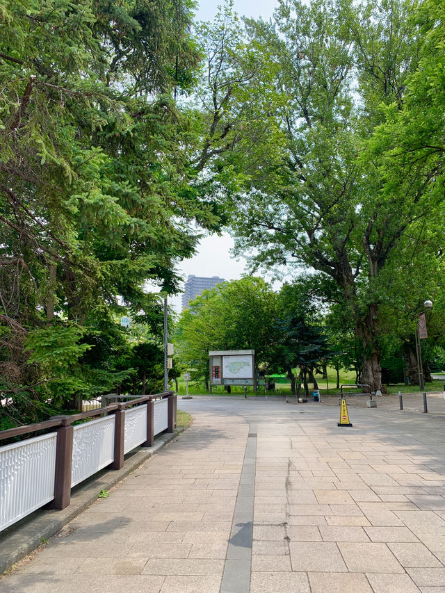 🌳 삿포로 나카지마 공원 산책기 🍃🐦🧺
