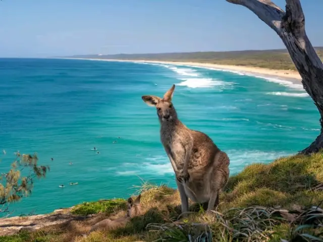 Brisbane, Australia: A fantastic mix of city life and natural beauty!