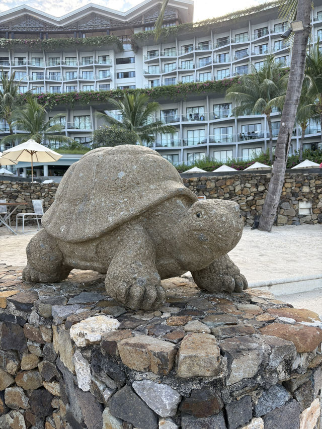 【コモド島2泊3日】念願のAYANAにステイ🏖️