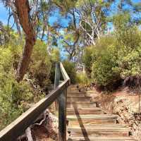Wai-O-Tapu Thermal Wonderland – New Zealand