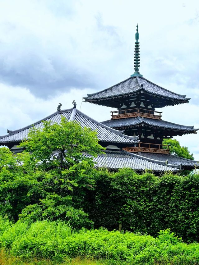 古典聖境—本向寺