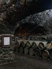 Winery in A castle