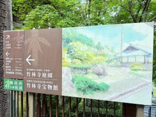 🍃 Shikoku, Japan｜Wandering in a Famous Garden in Kochi (Chikurinji Garden)
