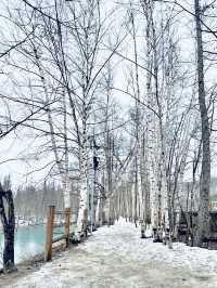 無論世界多麼冰冷， 只要心裡有光， 就能溫暖一切。《宮澤賢治》