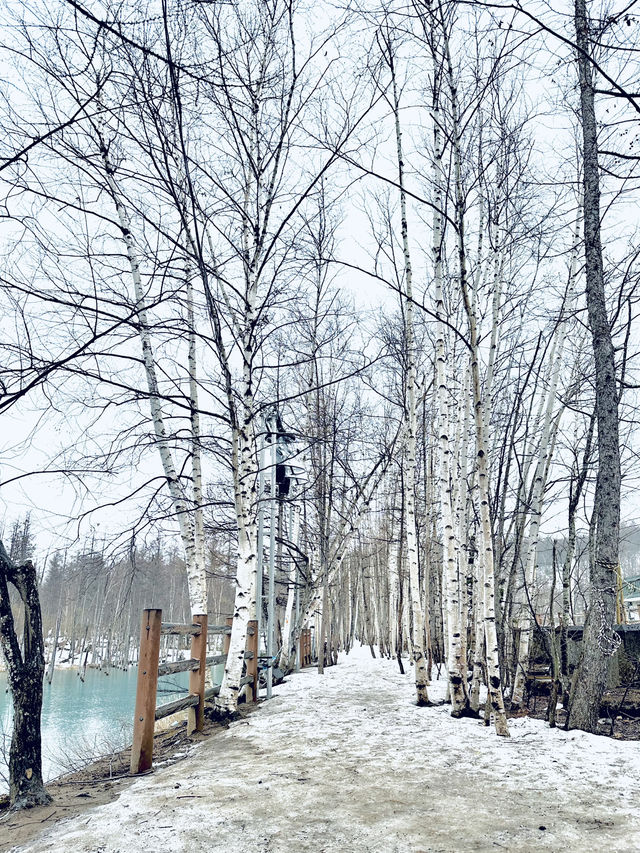 無論世界多麼冰冷， 只要心裡有光， 就能溫暖一切。《宮澤賢治》