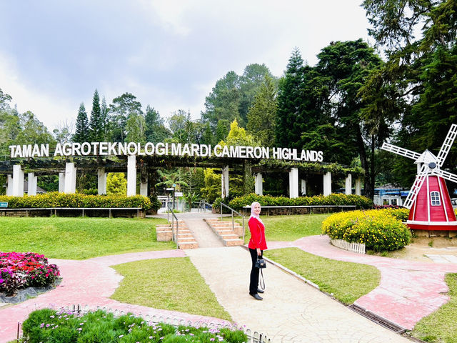 Escape to Nature’s Wonderland! 