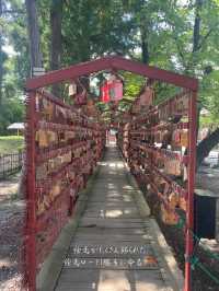 歴史好きや御朱印好きにおすすめ⛩️眞田神社