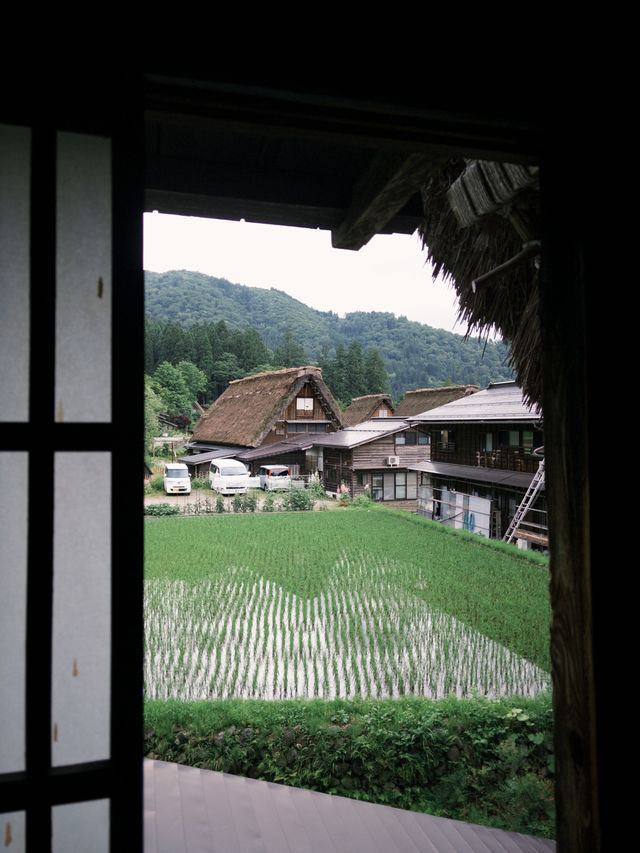 帶你走進日本夢幻鄉村「白川鄉」