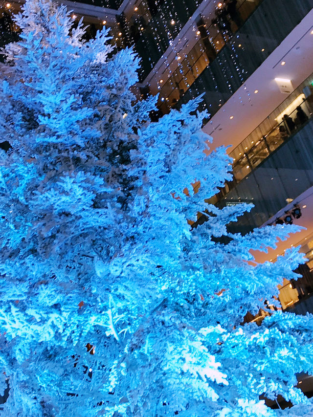 ✨ 丸の内クリスマス記録と2025 予測: 花と光の饗宴からマリオと共に彩る冬へ