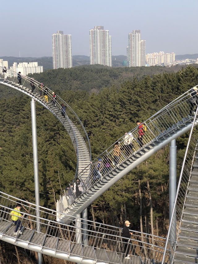 🚀 포항 명물 스페이스워크,  바다 위를 걷는 짜릿한 경험! 스릴 넘치는 포항 여행 코스
