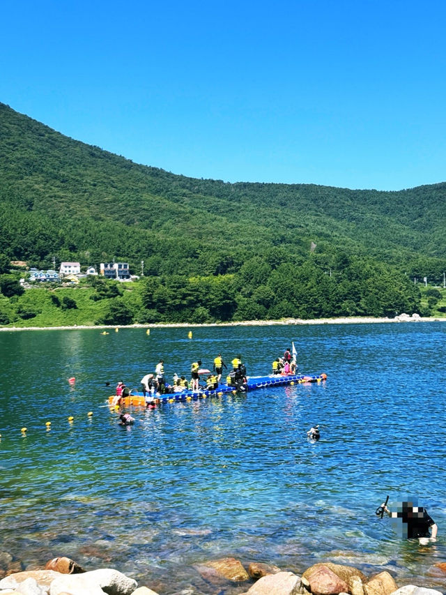 요즘 핫플 부산 근교 스노클링 명소 윤돌섬 🐟