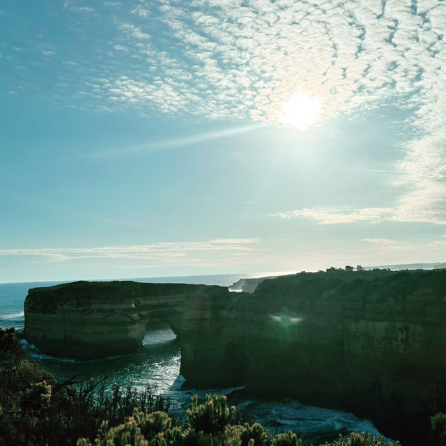 お一人向けグレートオーシャンロード（Great Ocean Road）の日帰りツアー比較