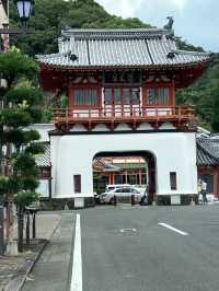 【佐賀県/武雄市】武雄市巡り ▶︎武雄市図書館 武雄温泉