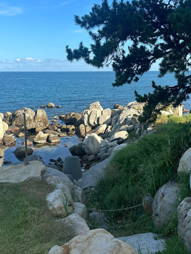 ❗️울산 바다와 함께 즐기는 오션뷰 카페 투어🌊☕️