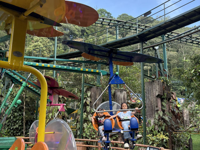 TikTok doesn’t help much. Let me make your life easier when visiting Taman Safari Bogor.