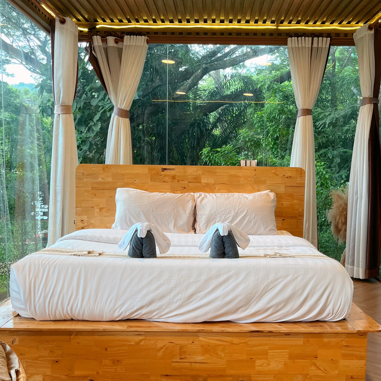 อำเภอ ปากช่อง - บ้านพักกระจกใสริมลำธาร 🌳 เขาให - 圖 4