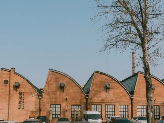 𝐓𝐢𝐚𝐧𝐣𝐢𝐧 - 𝐁𝐞𝐢𝐣𝐢𝐧𝐠 2