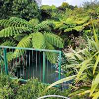 Auckland Botanic Gardens Sculpture Trail 🎨