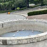 🌿 Zijing Mountain Park — Zhengzhou’s Peaceful Parkland with a Feathered Twist