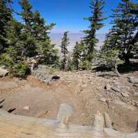 Mount San Jacinto State Park (Idyllwild)