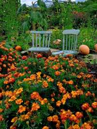 National Botanic Garden of Wales