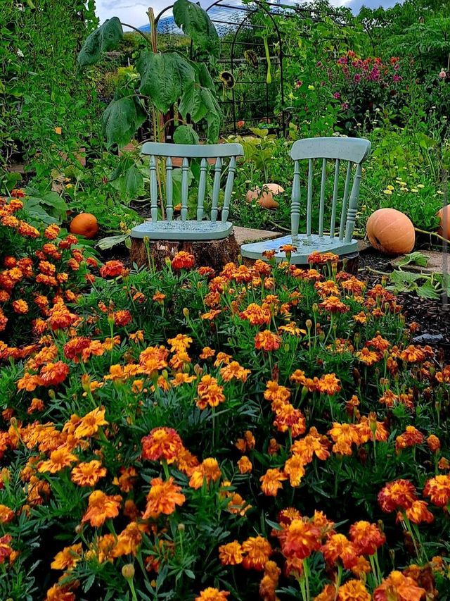National Botanic Garden of Wales