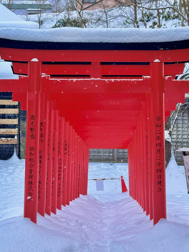 🏮 오타루 여행, 운하 따라 걷는 감성 항구 도시 🌊❄️