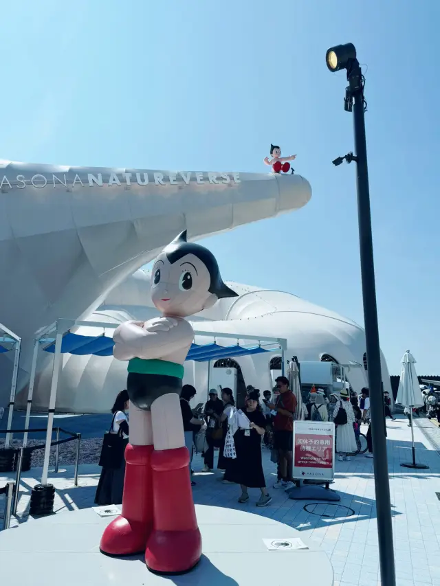 2025大阪part3 第6-7天