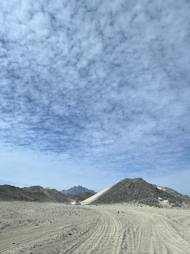 ［埃及旅遊］撒哈拉沙漠🏜️在一望無際的沙漠裡飆沙爬沙丘